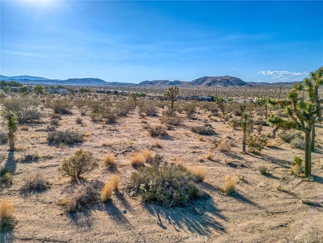 107 Juniper Rd, Home with 0 bedrooms, 0 bathrooms and null parking in Joshua Tree CA | Image 12