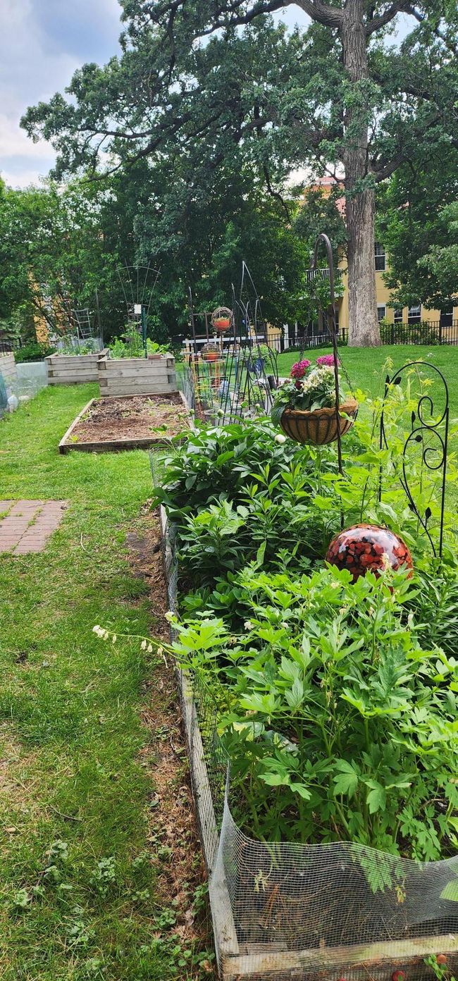 More residents' plots | Image 38