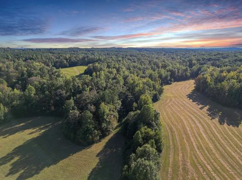3085 Forrest Hill Rd, Bolivar, TN, 38008-8000 | Card Image