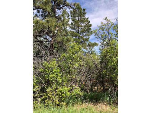 2207 Senecio Dr, Larkspur, CO, 80118 | Card Image