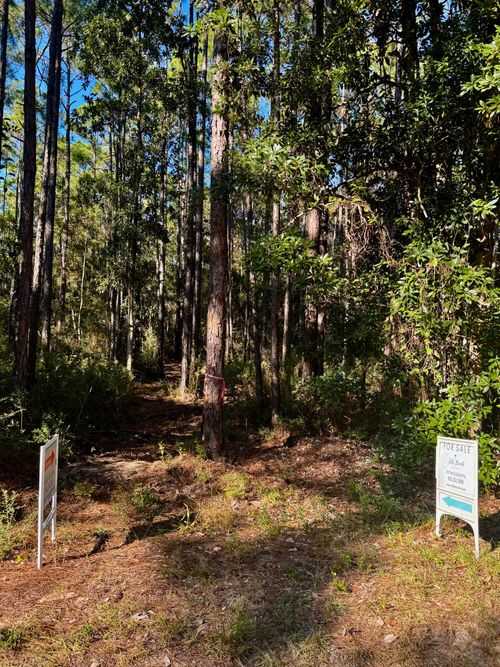 12 S 14th St, Santa Rosa Beach, FL, 32459 | Card Image