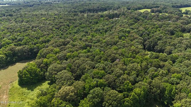 dji_fly_20240611_153340_0071_17181379425 | Image 7