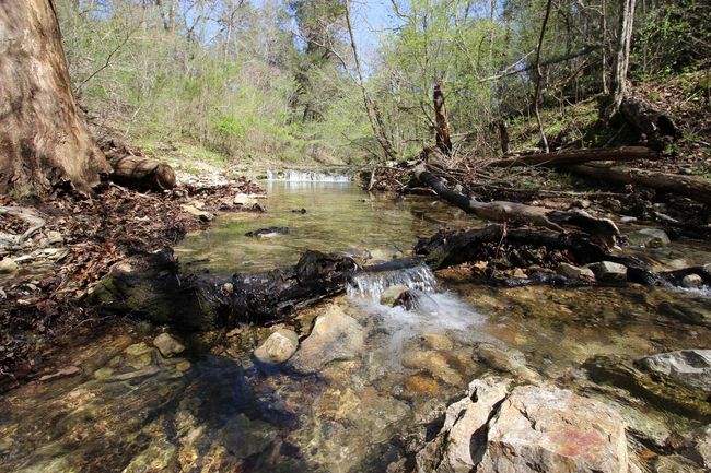 361 Rim Shoals Ln, House other with 2 bedrooms, 1 bathrooms and null parking in Mountain Home AR | Image 21