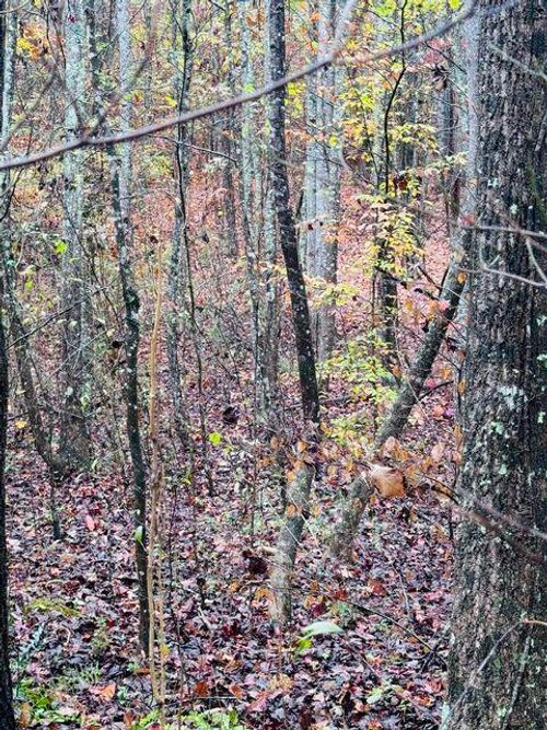 00 Sims Rd, Decatur, TN, 37322 | Card Image