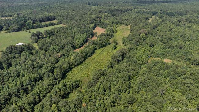 Drone / aerial view | Image 6