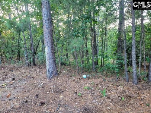 4 Lost Dog Ct, Elgin, SC, 29045-8285 | Card Image