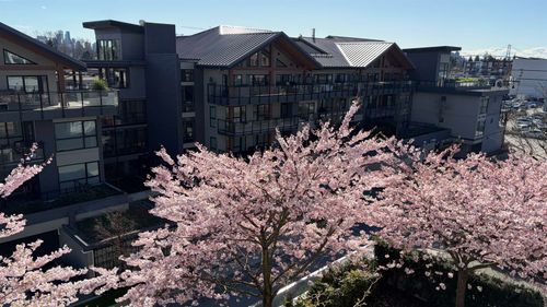 404-1061 Marine Dr, North Vancouver, BC, V7P1S6 | Card Image