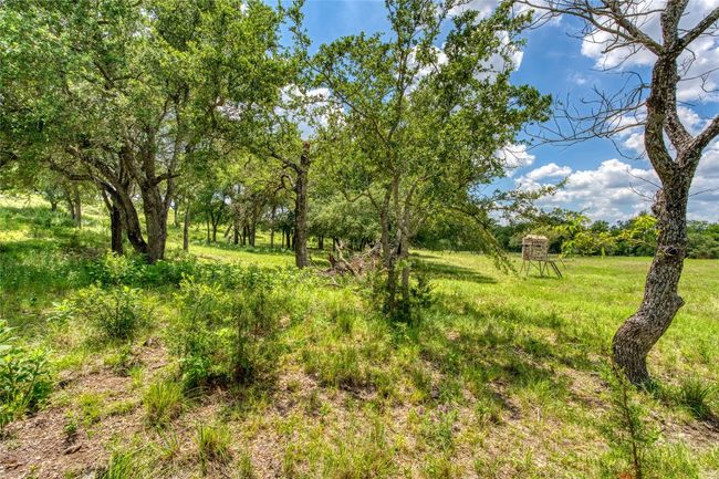 9 Miller Creek Blf, Home with 0 bedrooms, 0 bathrooms and null parking in Briggs TX | Image 8