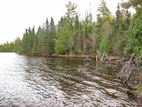 Lot 4 Devilfish Lk Access Rd, Hovland, MN, 55606 | Card Image
