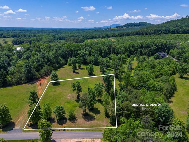Lot 36 Mapleton Ln, Home with 0 bedrooms, 0 bathrooms and null parking in Columbus NC | Image 6