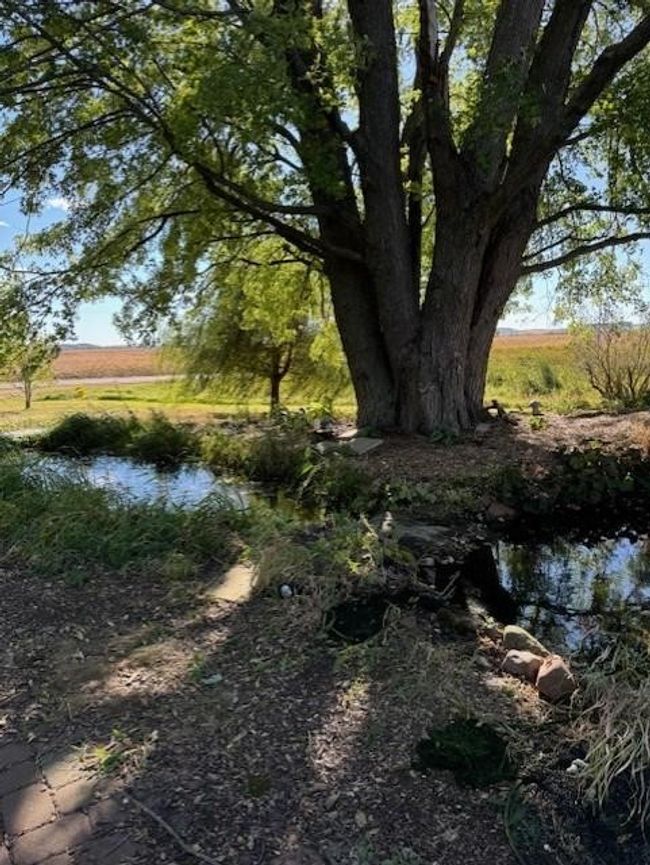 10928 Hwy Ss, House other with 5 bedrooms, 1 bathrooms and null parking in BLOOMER WI | Image 37