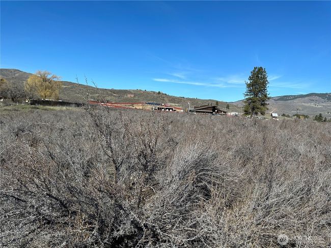 81 W Chewuch Rd, Home with 0 bedrooms, 0 bathrooms and null parking in Winthrop WA | Image 7