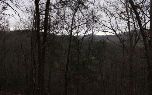 5 Thunder Rd, Hayesville, NC, 28904 | Card Image