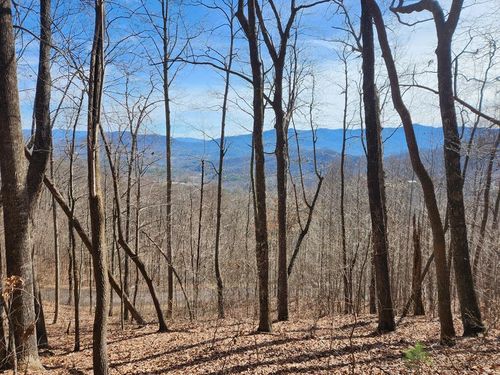 #28 Overlook Loop, Young Harris, GA, 30582 | Card Image