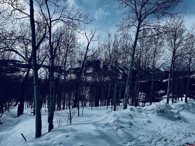 View of snowy yard | Image 7