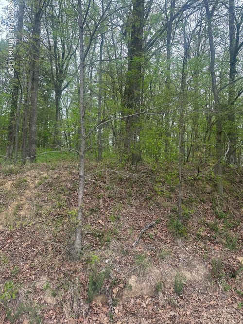 8768/8750 Bob White Drive, Hernando, MS, 38632 | Card Image