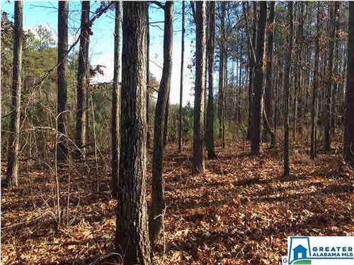 62-62 Haines Drive, VINCENT, AL, 35178 | Card Image