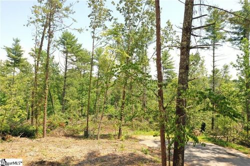 113 Sweetshrub Ct, Sunset, SC, 29685-2321 | Card Image