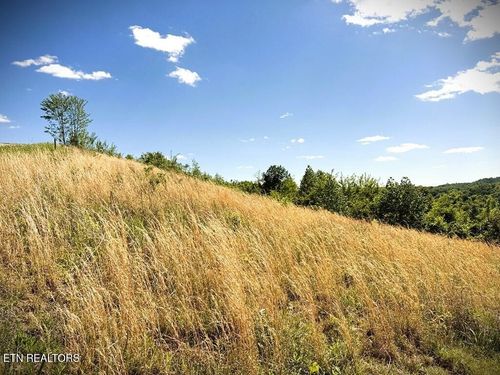 100 Mallard Lane, Hilham, TN, 38568 | Card Image