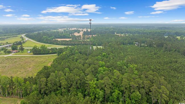 Aerial view of a forest | Image 12