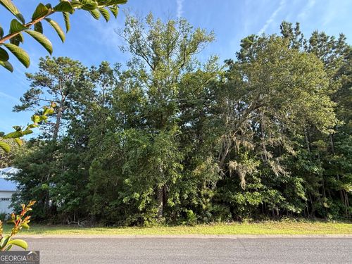 LOT 143 Canopy Ln, Waverly, GA, 31565-3093 | Card Image
