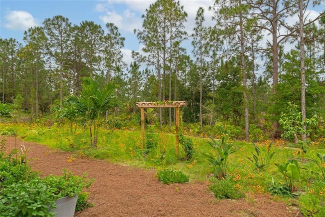 Garden | Image 32