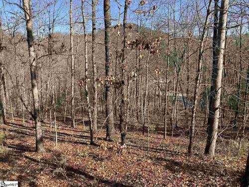 7 Mountain Ash Way, Marietta, SC, 29661-5172 | Card Image