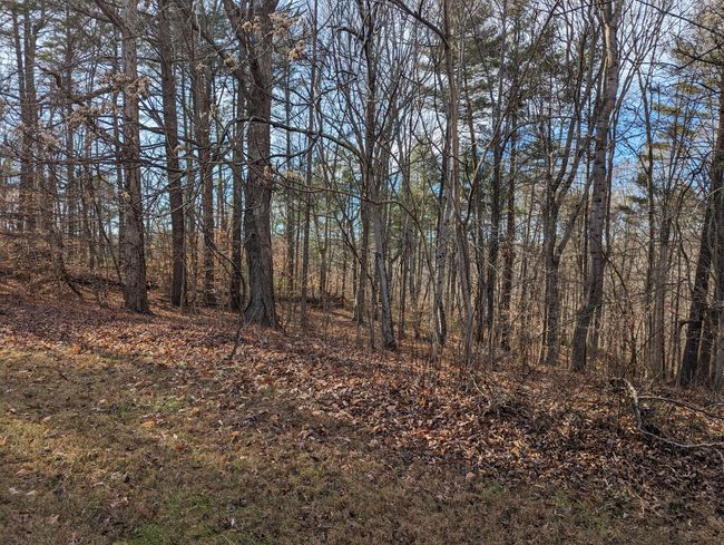 Land | Image 8