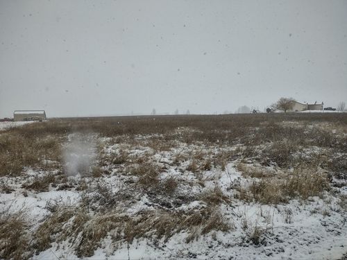 xx Mason Rd Rd, Deer Park, WA, 99006 | Card Image