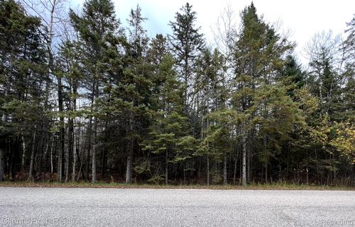 1342 Coulson Dr, Cheboygan, MI, 49721-9320 | Card Image