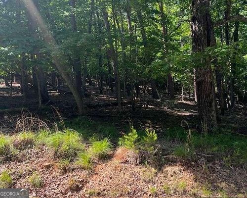1121 Oglethorpe Mountain Rd, Jasper, GA, 30143 | Card Image