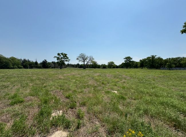 View of landscape featuring a rural view | Image 14