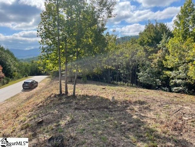00 Birkdale Dr, House other with 4 bedrooms, 5 bathrooms and 2 parking in Mill Spring NC | Image 8