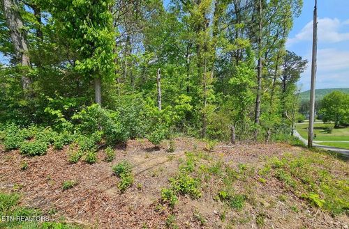 0 Sutherland Dr, Helenwood, TN, 37755 | Card Image