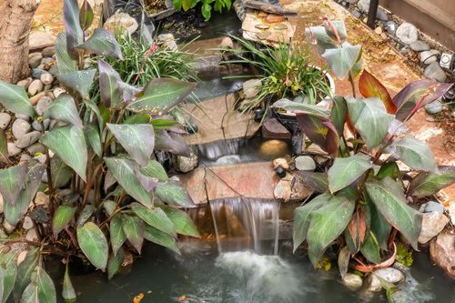 apt-216-2424 Larkspur Ln, Sacramento, CA, 95825-4116 | Card Image