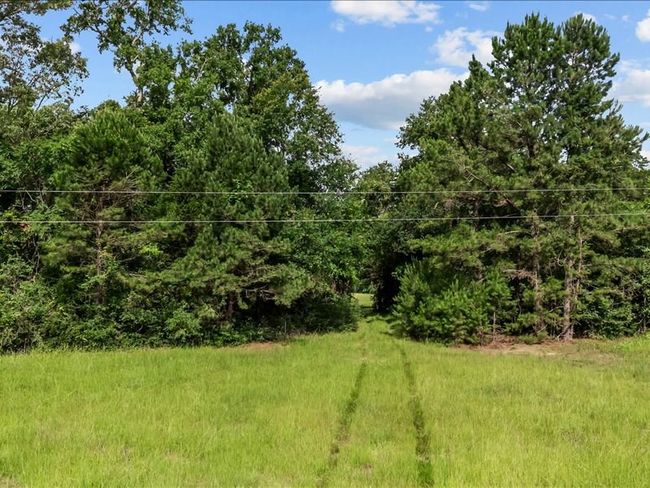 000 An County Road 100, Home with 0 bedrooms, 0 bathrooms and null parking in Elkhart TX | Image 4