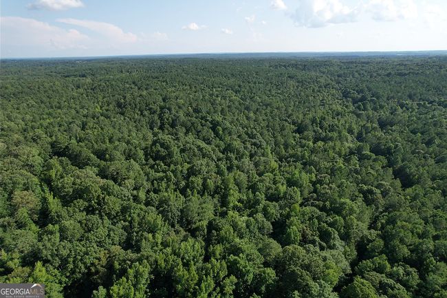 198.62+/- ACRES Apalachee Woods Trl, Home with 0 bedrooms, 0 bathrooms and null parking in Buckhead GA | Image 14