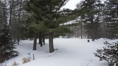 N10595 Us Highway 45, Birnamwood, WI, 54414-8808 | Card Image