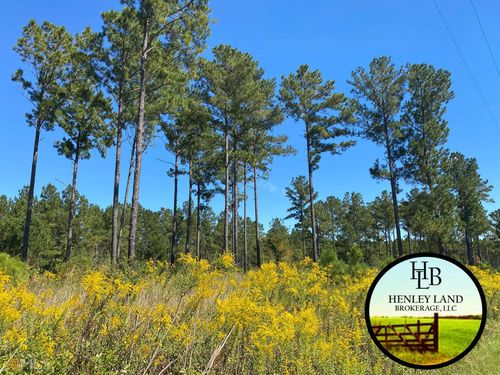 017 Georgia 16 Highway, Edison, GA, 39846 | Card Image