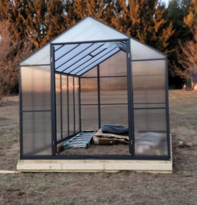 Green House | Image 13