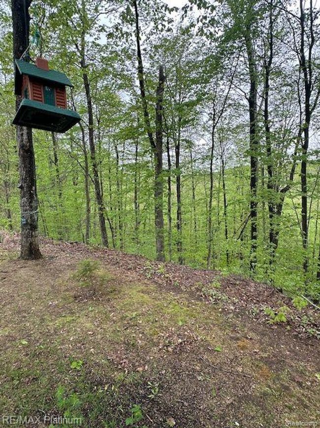 3624 Windy Hollow Rd Nw, House other with 4 bedrooms, 2 bathrooms and null parking in Rapid City MI | Image 8