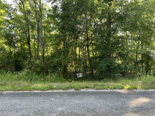 0 Slaughter Rd, Primm Springs, TN, 38476 | Card Image