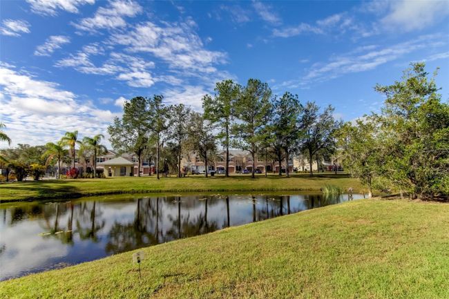 26642 Castleview Way, Townhouse with 3 bedrooms, 2 bathrooms and null parking in Wesley Chapel FL | Image 46