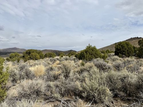1 Acre Cortez Avenue, Spring Creek, NV, 89801 | Card Image