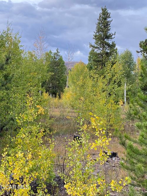 29 Grand Lake Ln, Grand Lake, CO, 80447 | Card Image