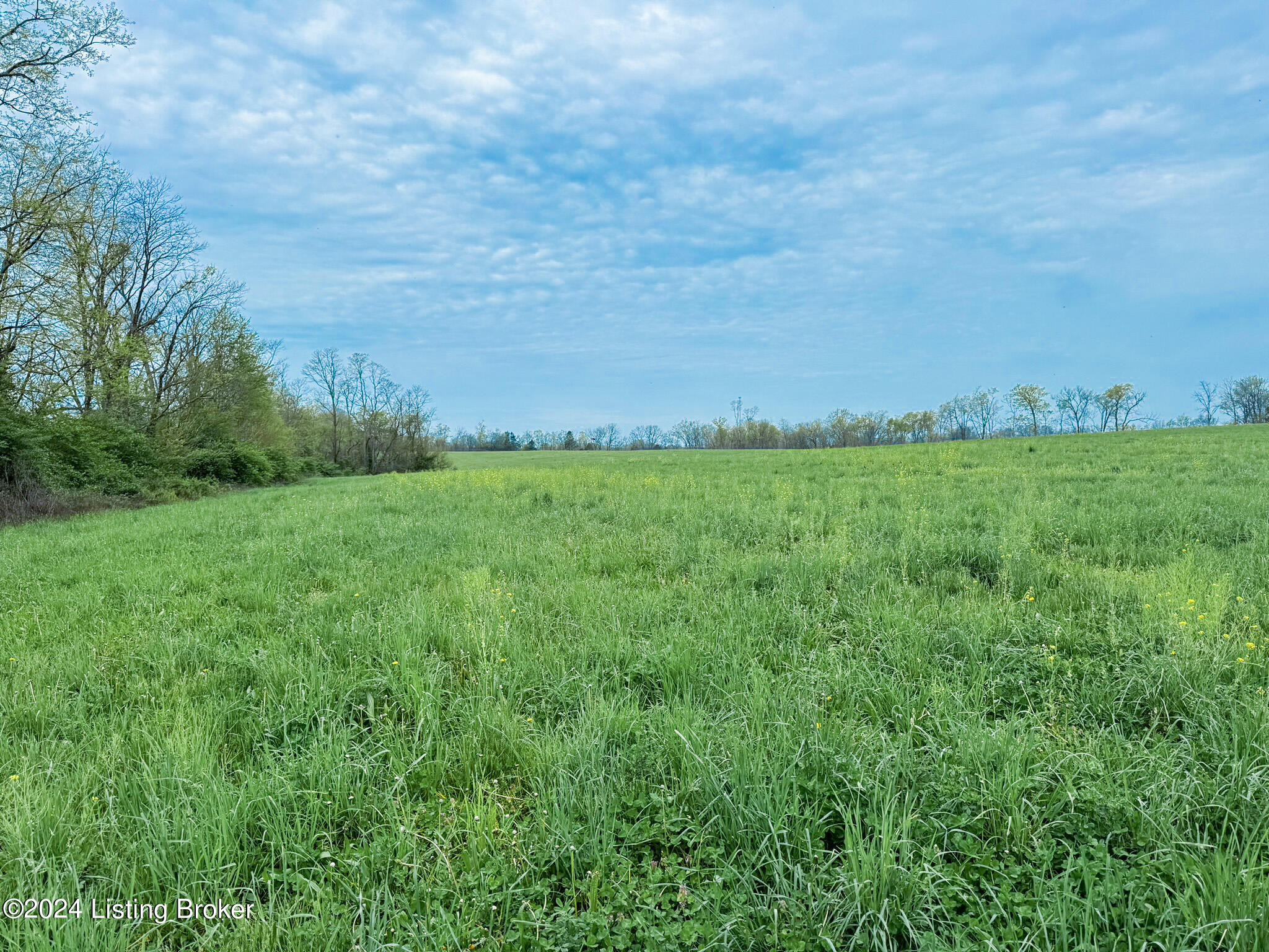 Land in Shelbyville 3