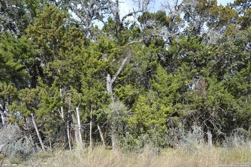 LOT 304 Whartons Dock Rd, Bandera, TX, 78003-3874 | Card Image