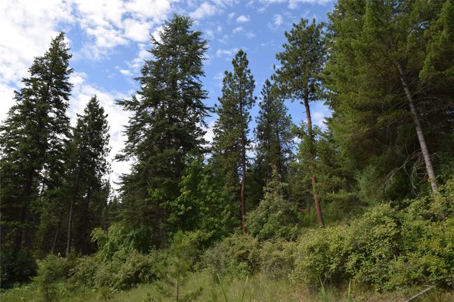 73487 Arlee Pines Dr, Home with 0 bedrooms, 0 bathrooms and null parking in Arlee MT | Image 8