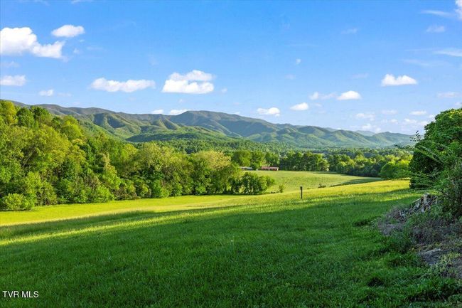 1942 Bailey Bridge Rd, House other with 2 bedrooms, 3 bathrooms and null parking in Limestone TN | Image 77