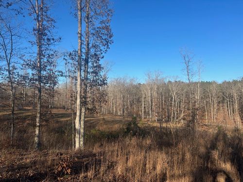 339 Bland Hollow Rd, Hohenwald, TN, 38462 | Card Image